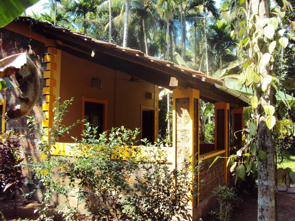 Dudhsagar Plantation Villa Cormonem ภายนอก รูปภาพ
