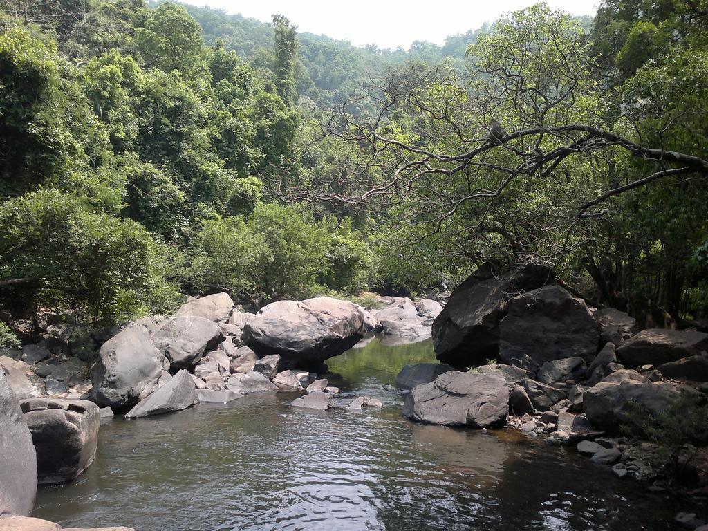 Dudhsagar Plantation Villa Cormonem ภายนอก รูปภาพ