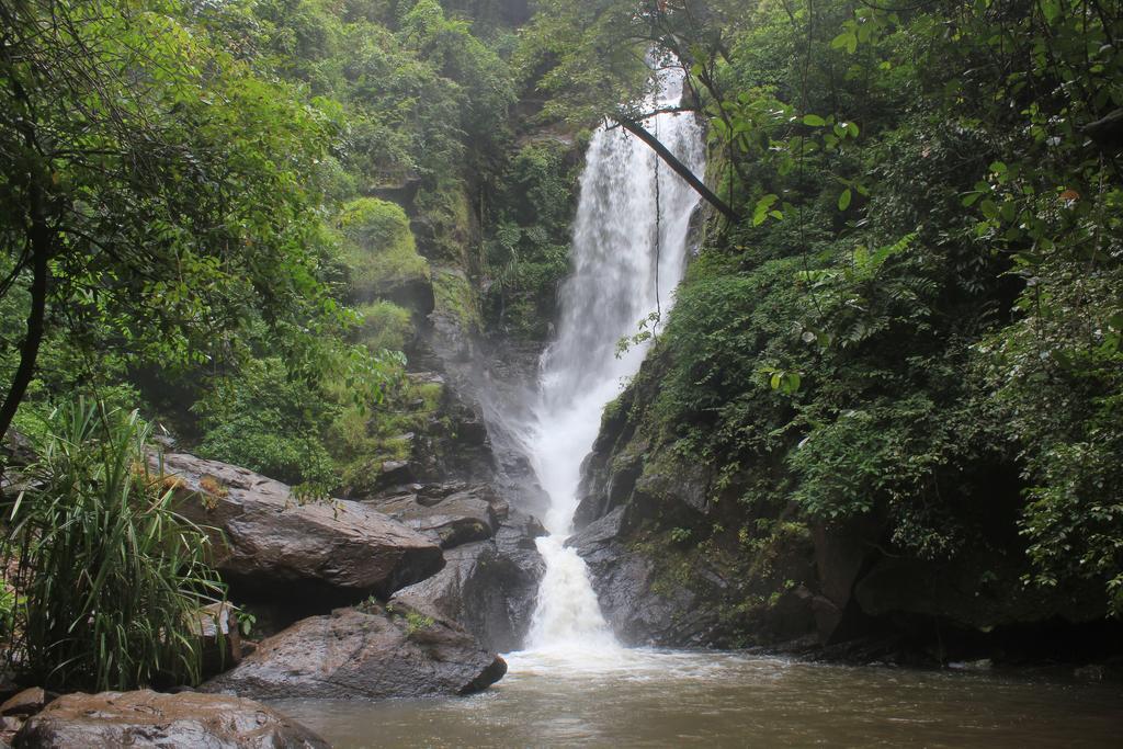 Dudhsagar Plantation Villa Cormonem ภายนอก รูปภาพ