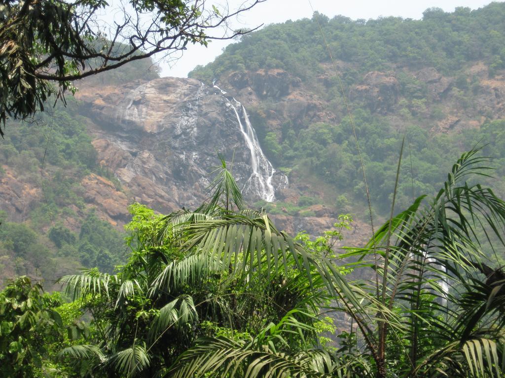 Dudhsagar Plantation Villa Cormonem ภายนอก รูปภาพ